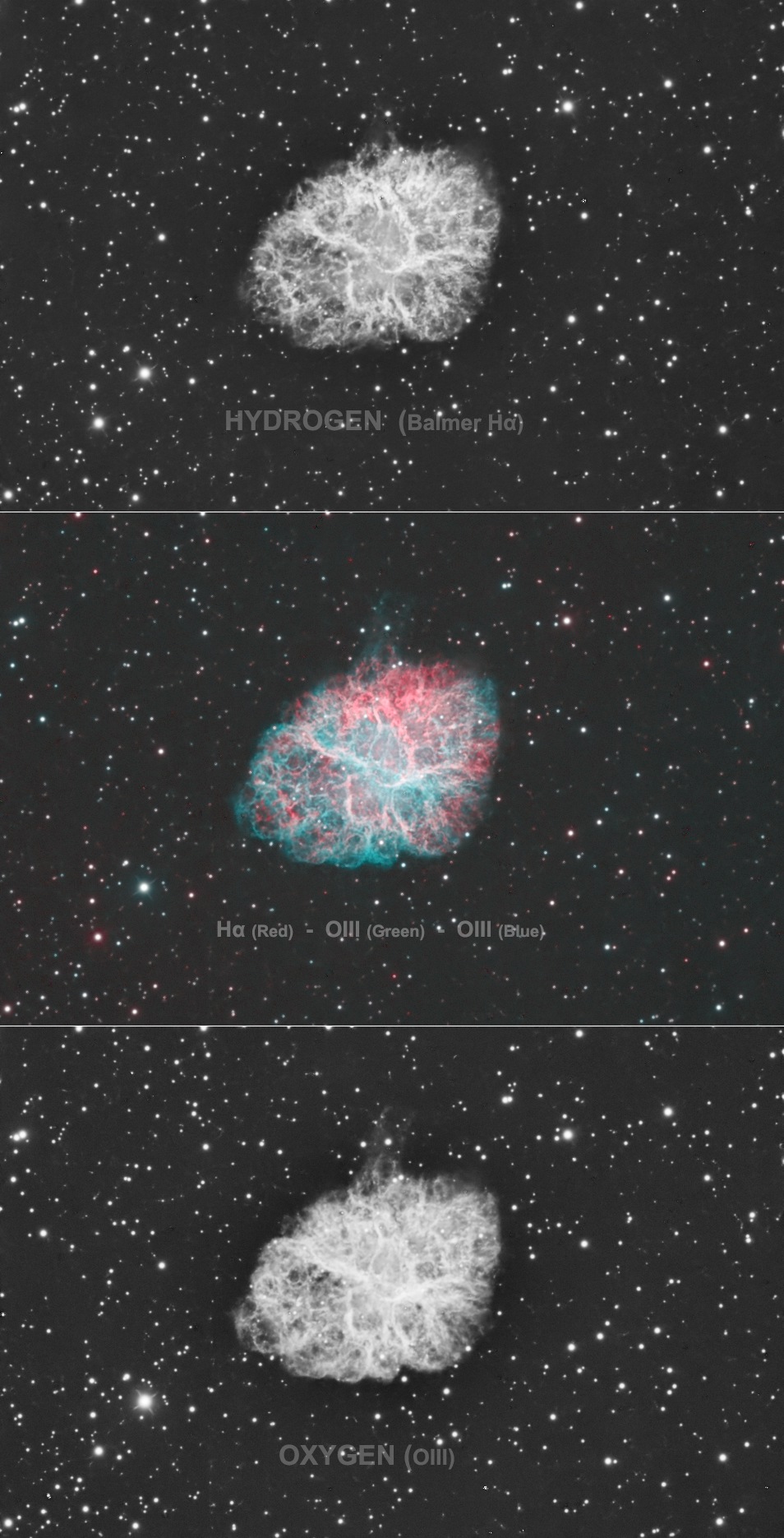 Crab Nebula HOO COMPOSITION