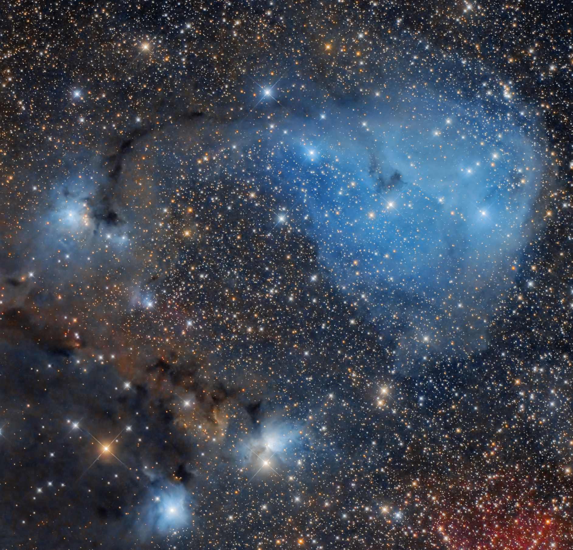 IC 2169